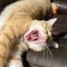 Profilbild von Kelly