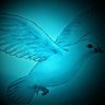 Фото профиля John Keighron. A doves feather