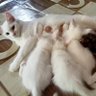 Фото профиля นัดเจอ