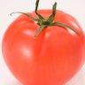 Фото профиля 春に着るポンチョ🍅🍅