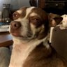 Benjamin's profile picture