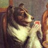 O cão ironico que faz piadas 的头像