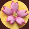 🌸 せーさん🌸's profile picture