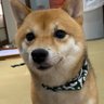 レンチンの鬼's profile picture