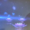 Lotus life's profile picture