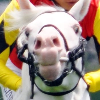 うまっK's profile picture