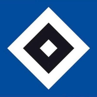 hsv_ev's profile picture