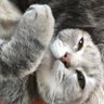 詹慧傑 profil fotoğrafı