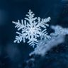 Profilbild von ❄️