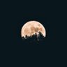 Leparalamapara's profile picture