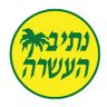 משה כהן's profile picture