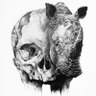 Rhinomega's profile picture