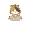 ばーちゃるたぬこ 的头像