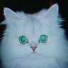 矢原宏美's profile picture