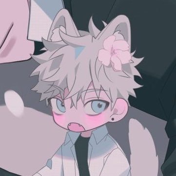 catboy_jie's profile picture