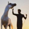﮼احمد،الشمري's profile picture