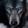 Wolf ®️'s profile picture