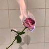 amireux's profile picture