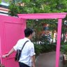 まさne.jp profil fotoğrafı