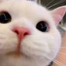 Mmyy's profile picture