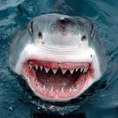 NBhgdrh's profile picture