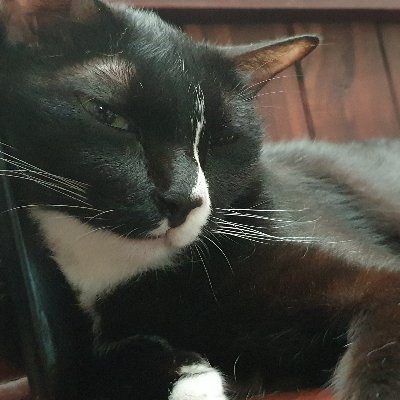 realessence's profile picture
