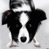 ナスのデンガク profil fotoğrafı