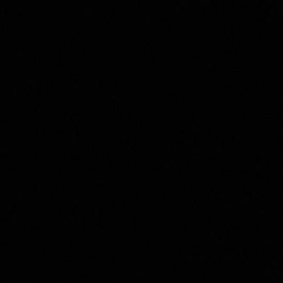Walter Clayton Jr . 🦍's profile picture