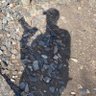 タッペン's profile picture