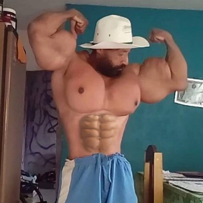 netinhofamoso's profile picture