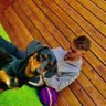 thespecialmon profil fotoğrafı