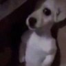 Profilbild von yes