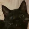 Profilbild von Serophina