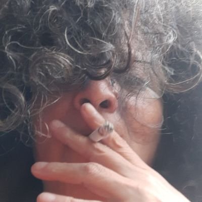 X-Namoita CARIOCA! sommelier de fakenews kkkkk's profile picture