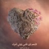 حمزة 🇱🇧 的头像