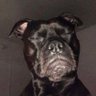 Profilbild von Nope