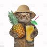 Sarinman's profile picture