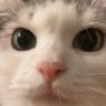 제발 나좀 좋아해줄 수 있어..?'s profile picture