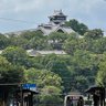 もっともっと熊もっとヨカばーい 的头像