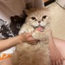 まあこ's profile picture