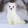デーデ profil fotoğrafı