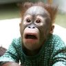 Kapopo muZealot's profile picture