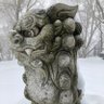 菩提樹丸 -BodhitreeDog-'s profile picture