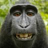 Monke's profile picture