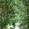 あゆざっく 的头像
