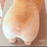 Aoba profil fotoğrafı