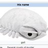 Isopod's profile picture
