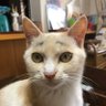 oku.k profil fotoğrafı