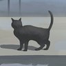 nayuta's profile picture
