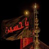 Profilbild von INAYAT عنايت شبیر🇵🇸🇮🇷🇱🇧🇮🇶🇾🇪🇸🇾✌️